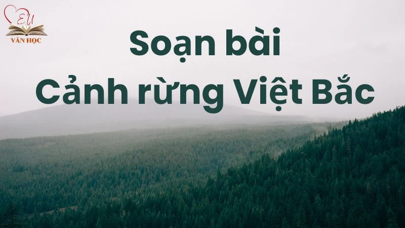 Soạn bài Cảnh rừng Việt Bắc - 3