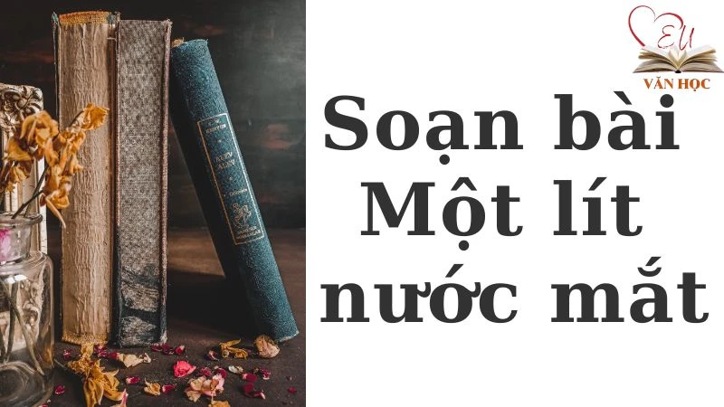 Soạn bài Một lít nước mắt - 2
