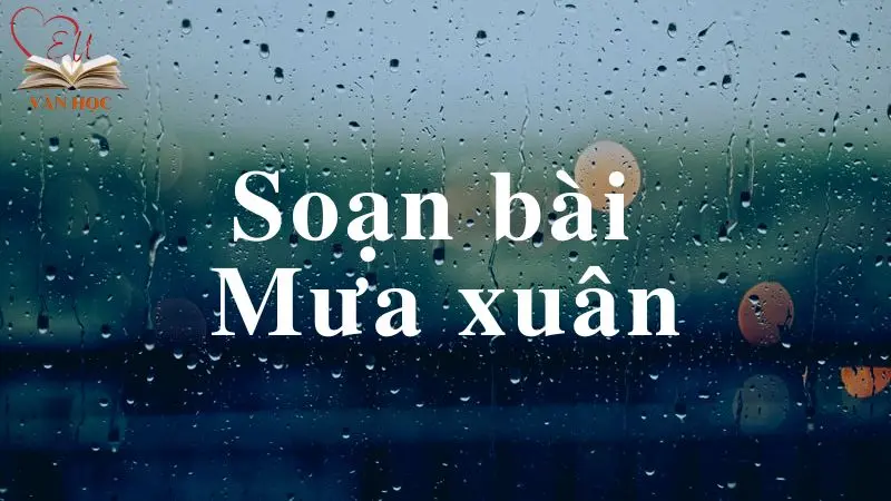 Soạn bài Mưa xuân - 3