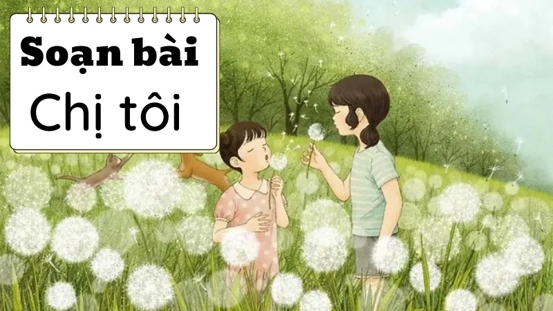 Soạn bài Tự đánh giá: Chị tôi - Ngữ văn 9 - Cánh diều ( Tập 2 ) 