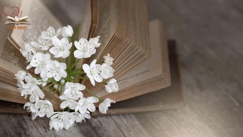 Bài phân tích nhân vật Vũ Nương – Bi kịch của người phụ nữ trong xã hội phong kiến Bài phân tích nhân vật Vũ Nương – Bi kịch của người phụ nữ trong xã hội phong kiến