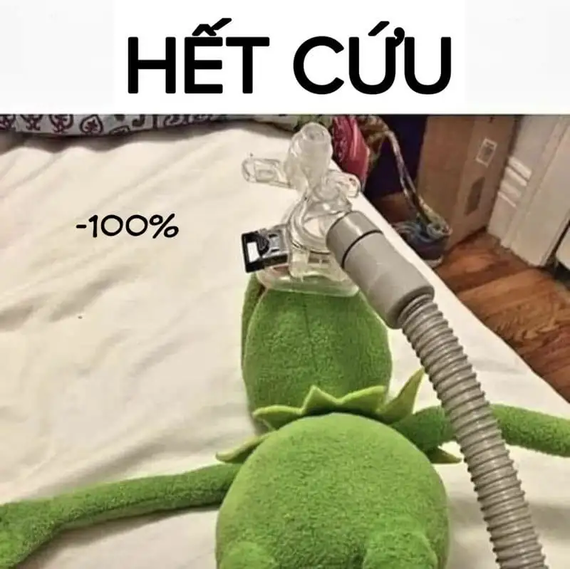 Meme hết cứu 17