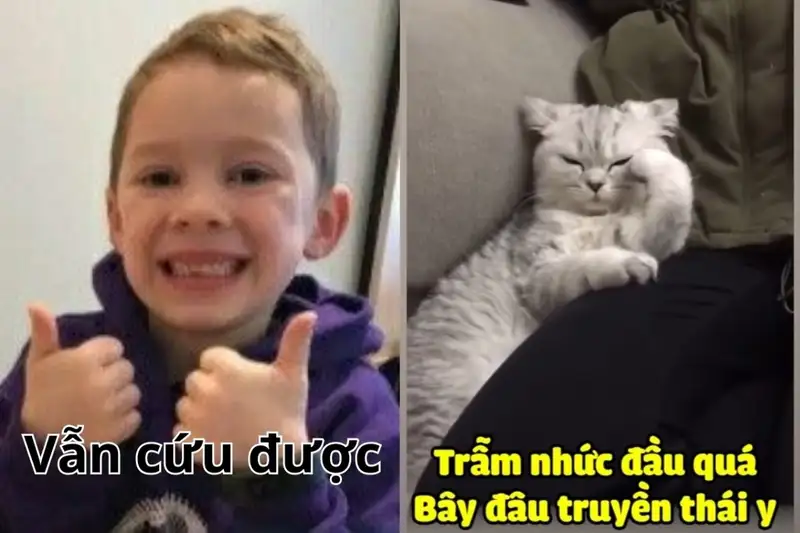 Meme hết cứu 21