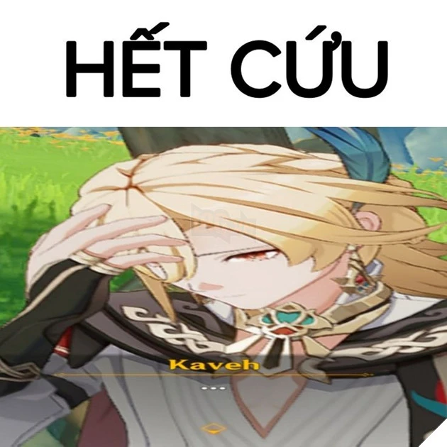 Meme hết cứu 29