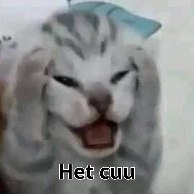 Meme hết cứu 33