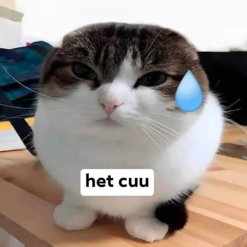 Meme hết cứu 09