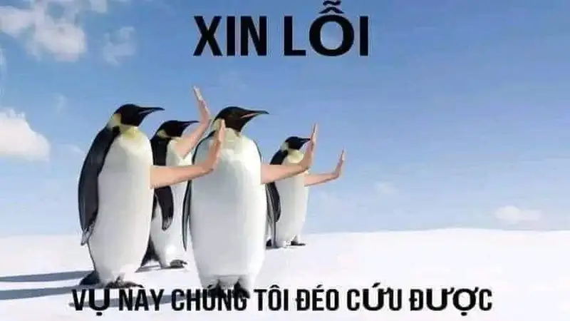 Meme hết cứu 15