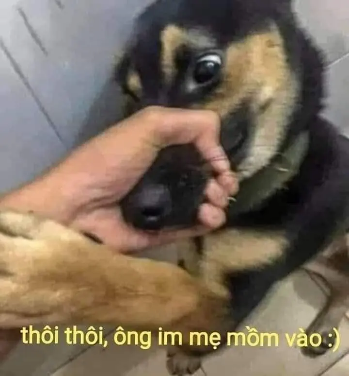 Ảnh vô tri 24