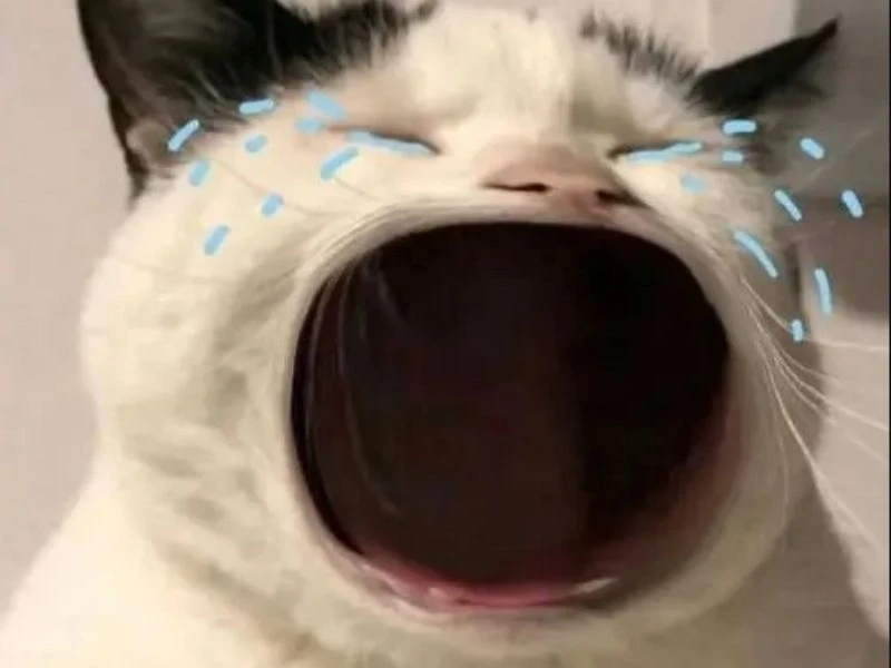 Ảnh vô tri 46