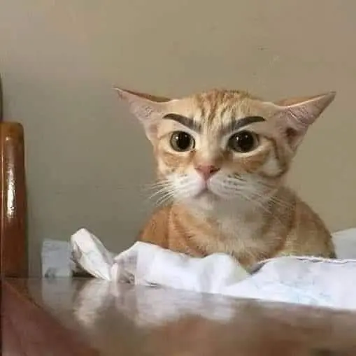 Ảnh vô tri 07