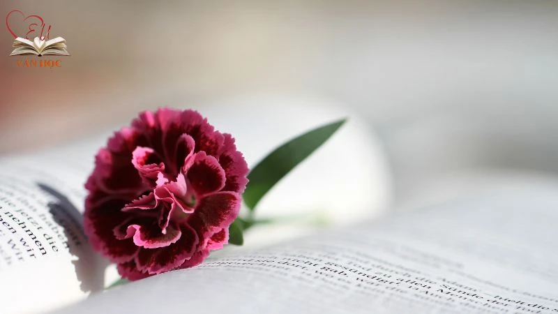 Phân tích Chó sói và cừu trong thơ ngụ ngôn của La Phông-ten - 2
