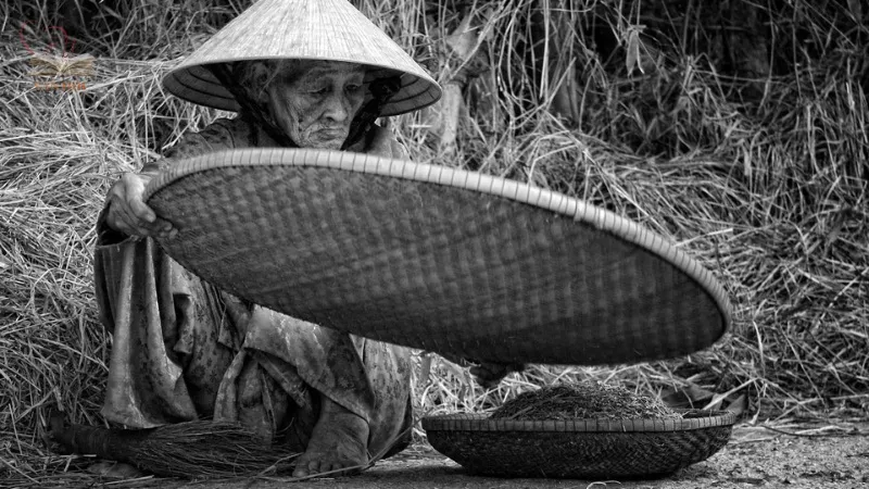 Giá trị văn học và nghệ thuật của bài thơ "Bầm ơi" Giá trị văn học và nghệ thuật của bài thơ "Bầm ơi"