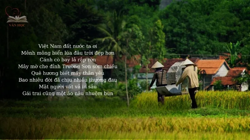 Phân tích nội dung bài thơ “Quê hương"