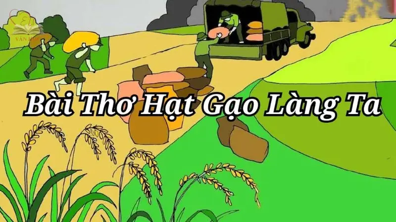 Bài thơ Hạt gạo làng ta Bài thơ Hạt gạo làng ta