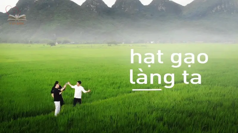 Phân tích bài thơ Hạt gạo làng ta Phân tích bài thơ Hạt gạo làng ta