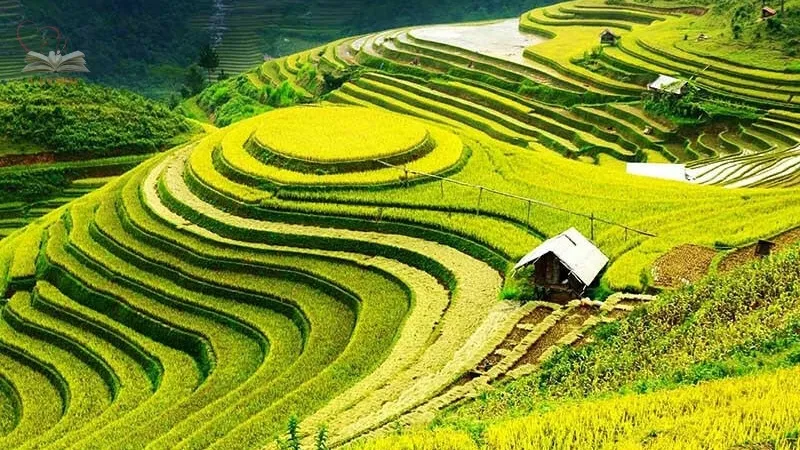 Vẻ đẹp nghệ thuật của bài thơ Việt Bắc Vẻ đẹp nghệ thuật của bài thơ Việt Bắc