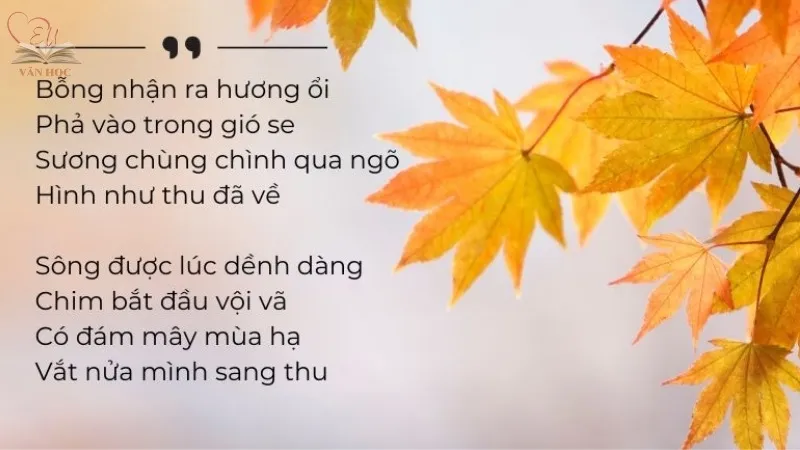 Đánh giá về sự nghiệp và tầm ảnh hưởng của Hữu Thỉnh