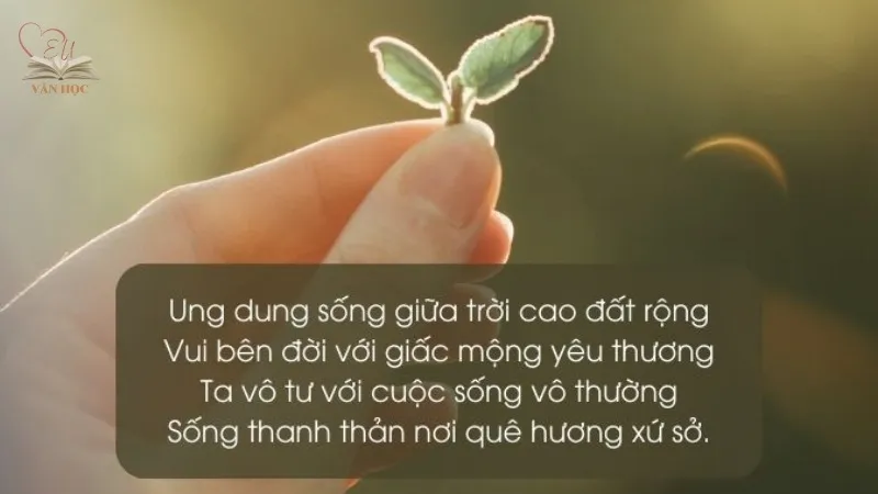 Thơ hay về cuộc sống là gì?