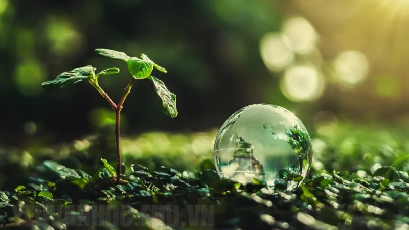 Cảm nhận bài Đấu tranh cho một thế giới hòa bình, thông điệp về khát vọng hòa bình Cảm nhận bài Đấu tranh cho một thế giới hòa bình, thông điệp về khát vọng hòa bình