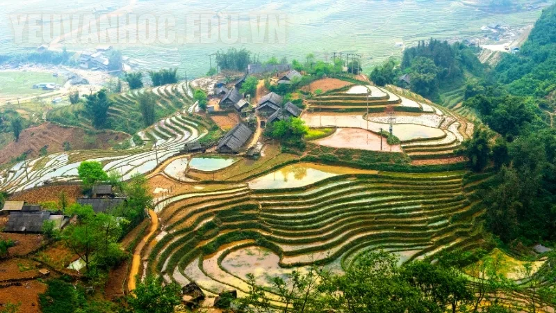 Phân tích lý tưởng sống của cô kỹ sư trong Lặng lẽ Sa Pa – Tinh thần cống hiến cho đất nước Phân tích lý tưởng sống của cô kỹ sư trong Lặng lẽ Sa Pa – Tinh thần cống hiến cho đất nước