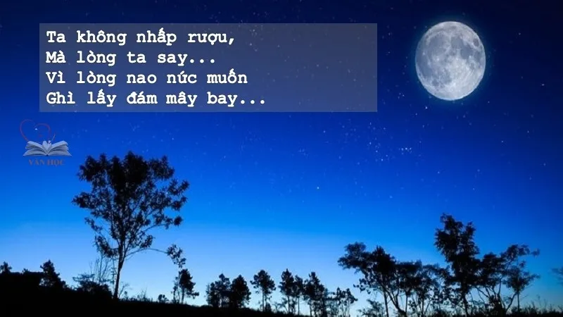 Tại sao thơ Hàn Mặc Tử được yêu thích? Tại sao thơ Hàn Mặc Tử được yêu thích?
