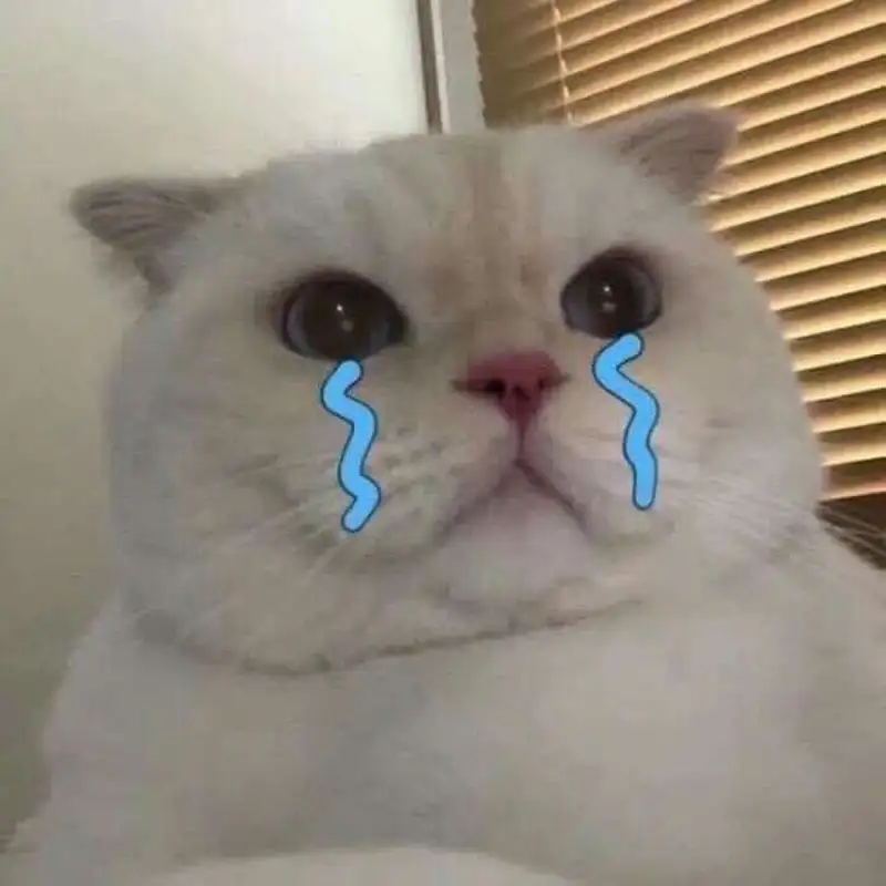 Crying pepe meme thu hút với hình ảnh hài hước từ chú ếch Pepe Crying pepe meme thu hút với hình ảnh hài hước từ chú ếch Pepe