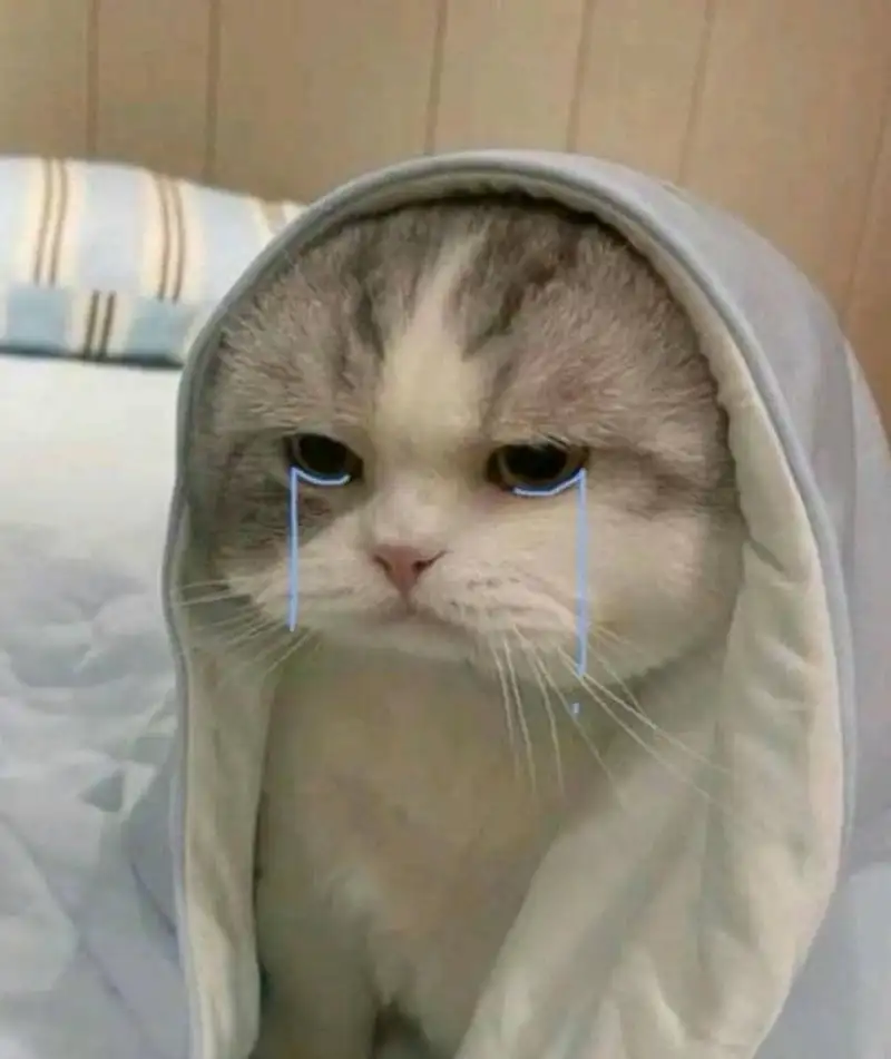 Banana cat cry meme là biểu tượng gây bão với biểu cảm độc lạ Banana cat cry meme là biểu tượng gây bão với biểu cảm độc lạ