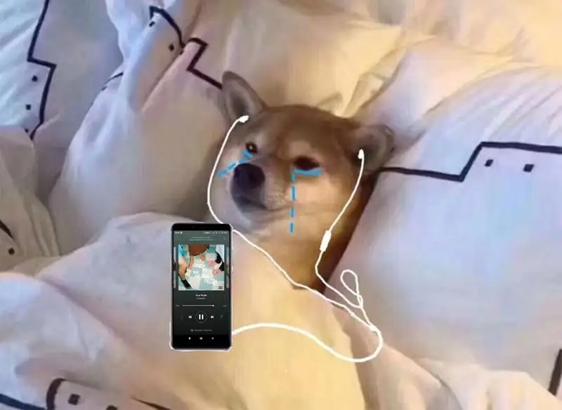 Smile cry meme là cách thể hiện tâm trạng độc đáo, vui mà buồn Smile cry meme là cách thể hiện tâm trạng độc đáo, vui mà buồn
