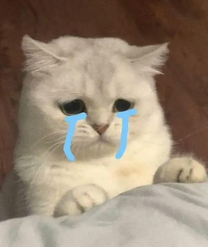 Ronaldo crying meme làm nổi bật sự hài hước từ khoảnh khắc khóc Ronaldo crying meme làm nổi bật sự hài hước từ khoảnh khắc khóc