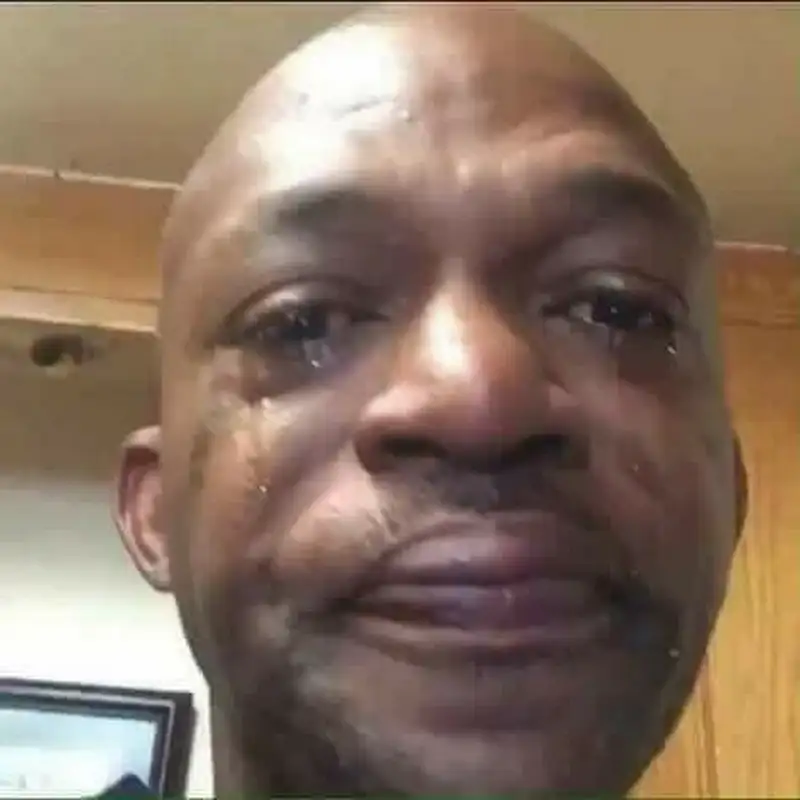 Cry cat meme là biểu tượng của những cảm xúc hài hước khó đỡ Cry cat meme là biểu tượng của những cảm xúc hài hước khó đỡ