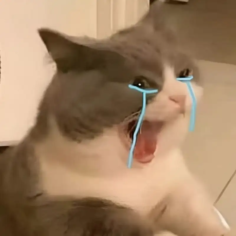 Meme crying cat lan tỏa cảm xúc bi hài trên mọi nền tảng Meme crying cat lan tỏa cảm xúc bi hài trên mọi nền tảng