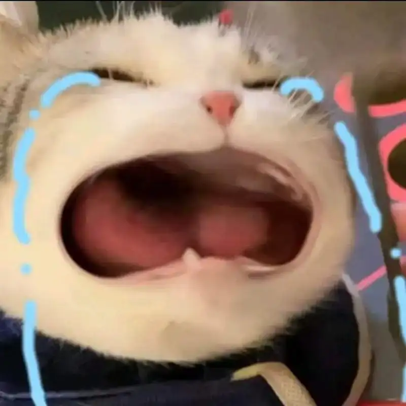 Pepe meme cry là cách diễn tả cảm xúc hài hước mà ai cũng thích Pepe meme cry là cách diễn tả cảm xúc hài hước mà ai cũng thích