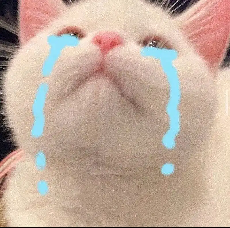 Crying wojak meme nổi bật với sự hài hước pha chút bi thương Crying wojak meme nổi bật với sự hài hước pha chút bi thương