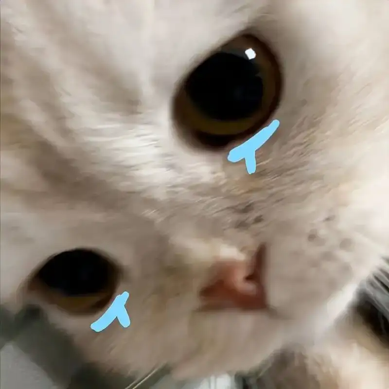 Crying man meme là biểu tượng của những cảm xúc khó nói thành lời Crying man meme là biểu tượng của những cảm xúc khó nói thành lời