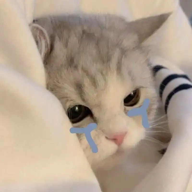 Jerry crying meme mang lại tiếng cười với biểu cảm ngộ nghĩnh Jerry crying meme mang lại tiếng cười với biểu cảm ngộ nghĩnh