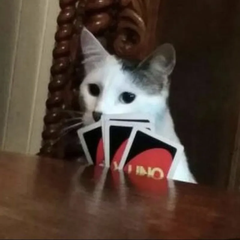 Uno đảo chiều meme thể hiện sự hài hước độc đáo Uno đảo chiều meme thể hiện sự hài hước độc đáo