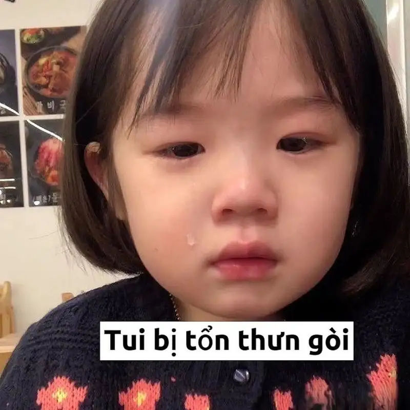 Ảnh meme mèo bựa giúp bạn thư giãn và cười thoải mái Ảnh meme mèo bựa giúp bạn thư giãn và cười thoải mái