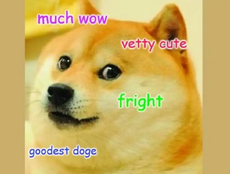 Loading dog meme mang lại tiếng cười cho mọi người Loading dog meme mang lại tiếng cười cho mọi người