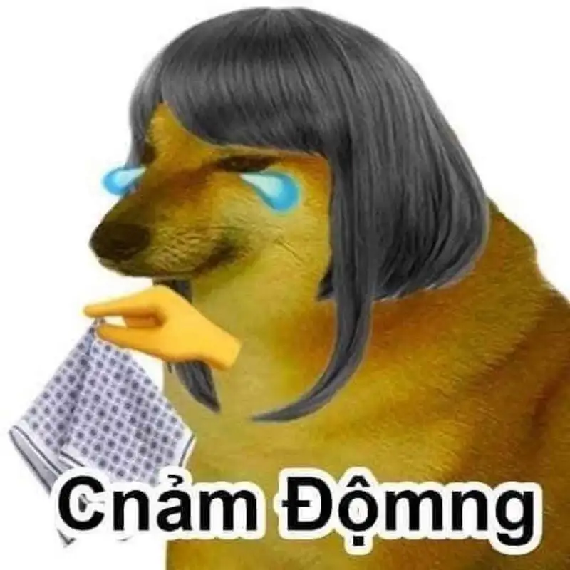 Meme coin doge châm biếm nhưng rất thú vị cho cộng đồng tiền ảo Meme coin doge châm biếm nhưng rất thú vị cho cộng đồng tiền ảo