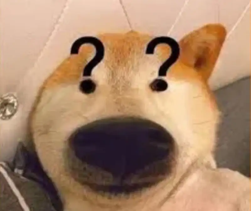 Cheems doge meme hài hước cho những ai yêu thích meme chó Cheems doge meme hài hước cho những ai yêu thích meme chó
