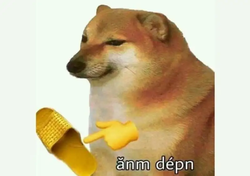 Side eye dog meme châm biếm nhưng rất thú vị cho những ai yêu thích hài hước Side eye dog meme châm biếm nhưng rất thú vị cho những ai yêu thích hài hước
