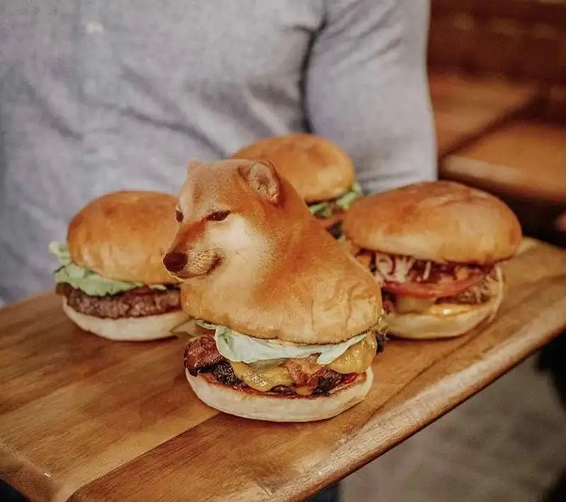 Happy dog meme khiến bạn cảm thấy vui vẻ và thoải mái Happy dog meme khiến bạn cảm thấy vui vẻ và thoải mái