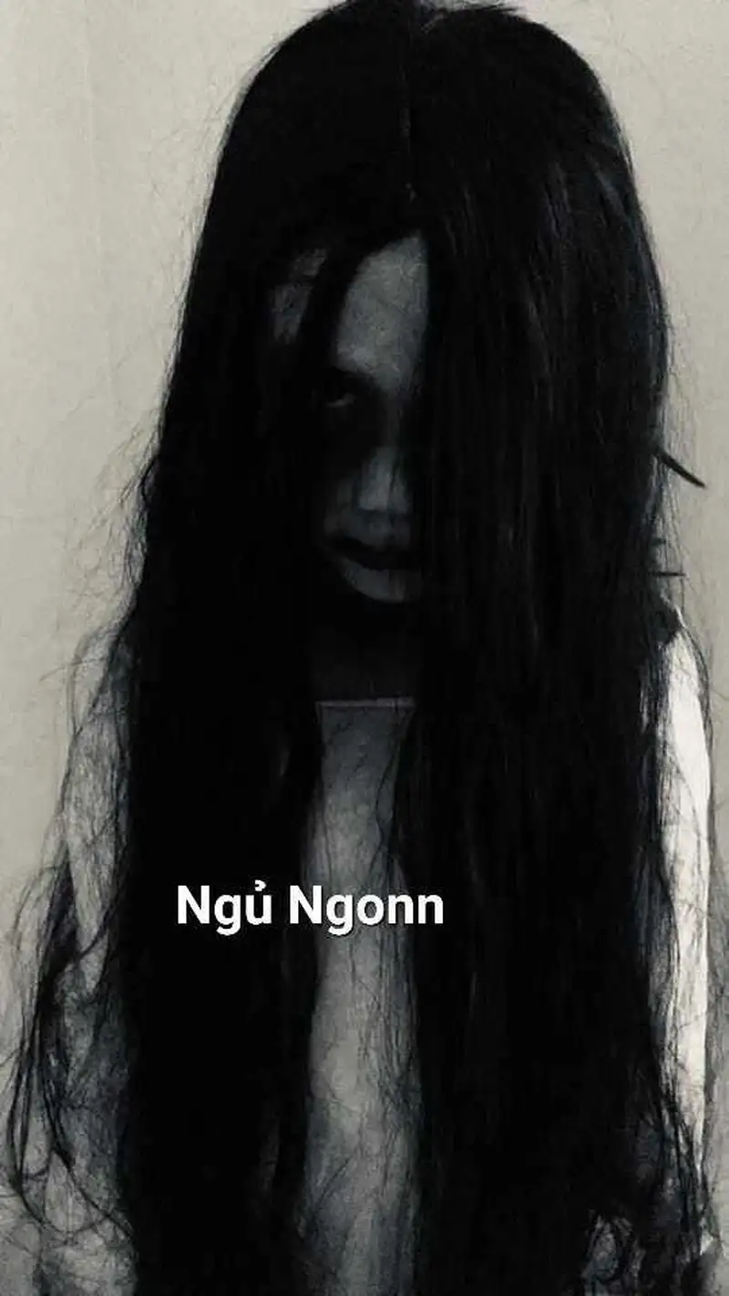 Meme mèo nằm ngủ dễ thương khiến bạn muốn chia sẻ ngay Meme mèo nằm ngủ dễ thương khiến bạn muốn chia sẻ ngay