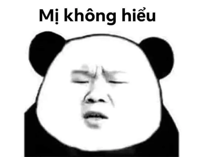 Hình meme gấu trúc mang lại tiếng cười cho cộng đồng yêu thích meme Hình meme gấu trúc mang lại tiếng cười cho cộng đồng yêu thích meme