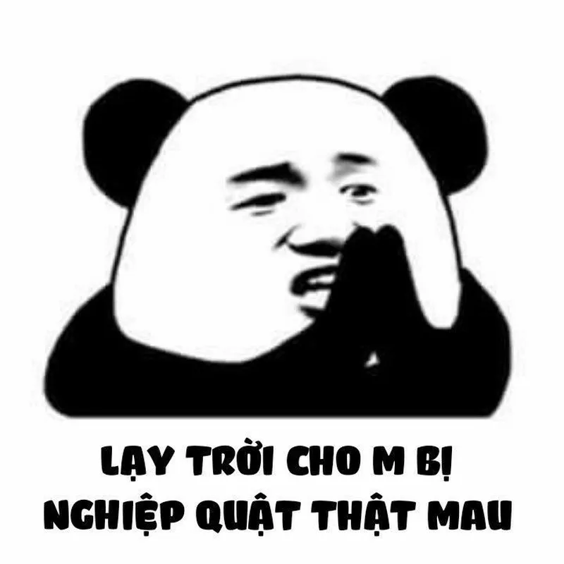 Meme gấu trúc luôn là một lựa chọn tuyệt vời cho những ai yêu thích sự hài hước Meme gấu trúc luôn là một lựa chọn tuyệt vời cho những ai yêu thích sự hài hước