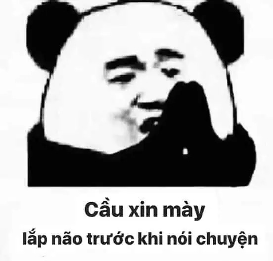 Meme hài gấu trúc tạo ra những khoảnh khắc hài hước và ngộ nghĩnh Meme hài gấu trúc tạo ra những khoảnh khắc hài hước và ngộ nghĩnh