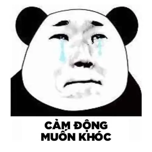 Meme gấu trúc thật cực kỳ hài hước, mang lại những phút giây giải trí đầy ý nghĩa Meme gấu trúc thật cực kỳ hài hước, mang lại những phút giây giải trí đầy ý nghĩa