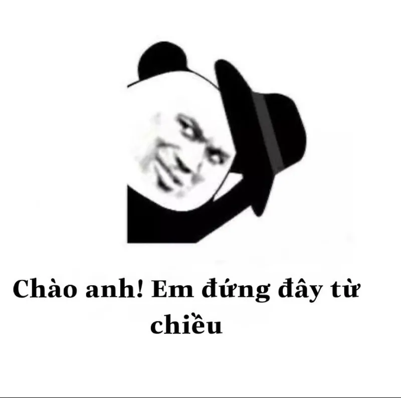 Mắt gấu trúc meme khiến bạn cảm thấy đồng cảm với tình huống hài hước Mắt gấu trúc meme khiến bạn cảm thấy đồng cảm với tình huống hài hước
