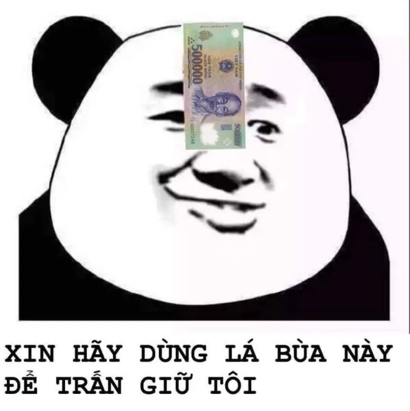 Ảnh meme gấu hồng mang đến những phút giây thư giãn nhẹ nhàng nhưng đầy hài hước Ảnh meme gấu hồng mang đến những phút giây thư giãn nhẹ nhàng nhưng đầy hài hước
