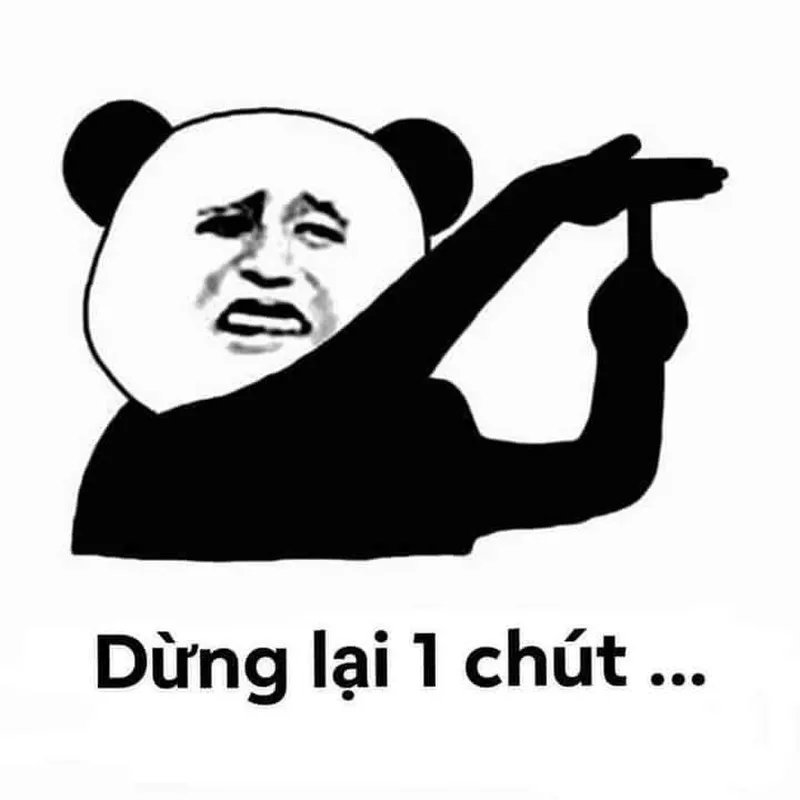 Meme con gấu màu hồng tạo nên những tình huống hài hước không thể bỏ qua Meme con gấu màu hồng tạo nên những tình huống hài hước không thể bỏ qua